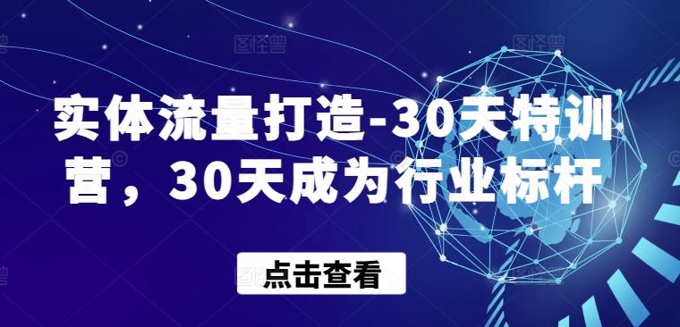 实体流量打造-30天特训营，30天成为行业标杆-网创小站