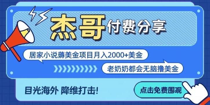 拆解海外撸美金项目月入2000美刀详细指导-网创小站