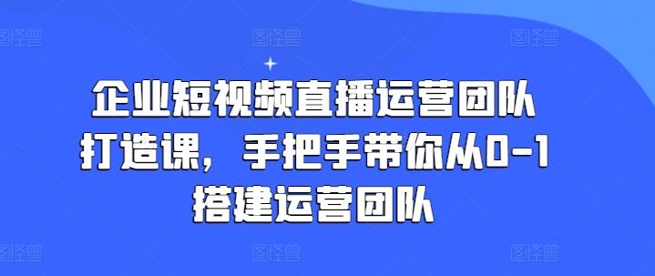 企业短视频直播运营团队打造课，手把手带你从0-1搭建运营团队-网创小站