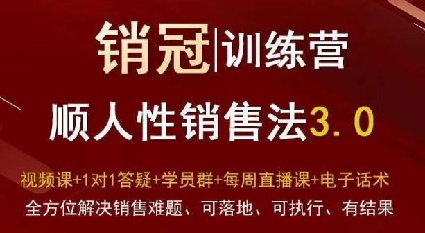 爆款！销冠训练营3.0之顺人性销售法，全方位解决销售难题、可落地、可执行、有结果-网创小站