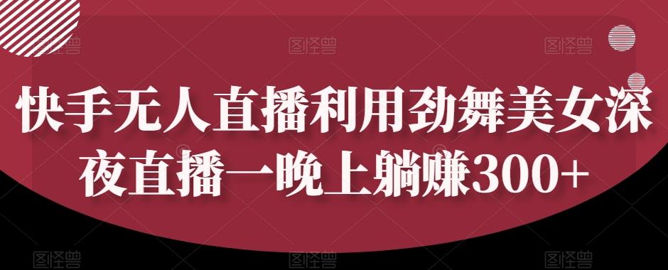 快手无人直播利用劲舞美女深夜直播一晚上躺赚300+-网创小站