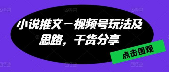 小说推文—视频号玩法及思路，干货分享-网创小站