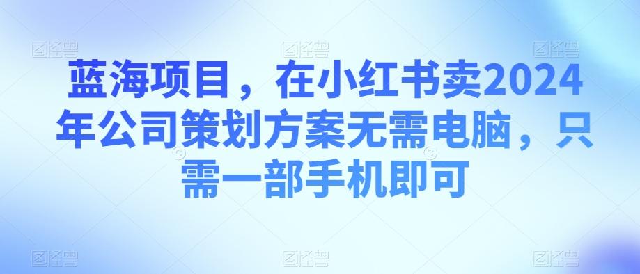 蓝海项目，在小红书卖2024年公司策划方案无需电脑，只需一部手机即可-网创小站
