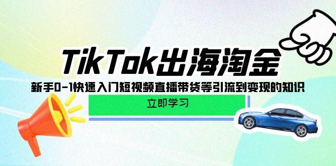 (10035期)TikTok-出海淘金，新手0-1快速入门短视频直播带货等引流到变现的知识-网创小站