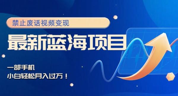 最新蓝海项目，靠禁止废话视频变现，一部手机，小白轻松月入过万！-网创小站