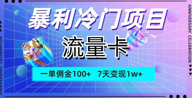 暴利冷门项目，流量卡，一单佣金100+，7天变现1w+-网创小站
