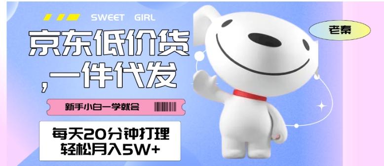每天20分钟打理京东低价货，一件代发-轻松月入5W＋-网创小站