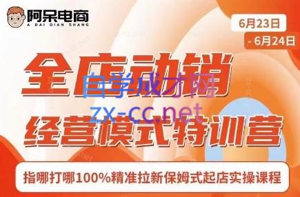 阿呆电商·全店动销经营模式特训营(线下录音+思维导图)-网创小站