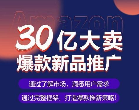 亚马逊·30亿大卖爆款新品推广，可复制、全程案例实操的爆款推新SOP-网创小站