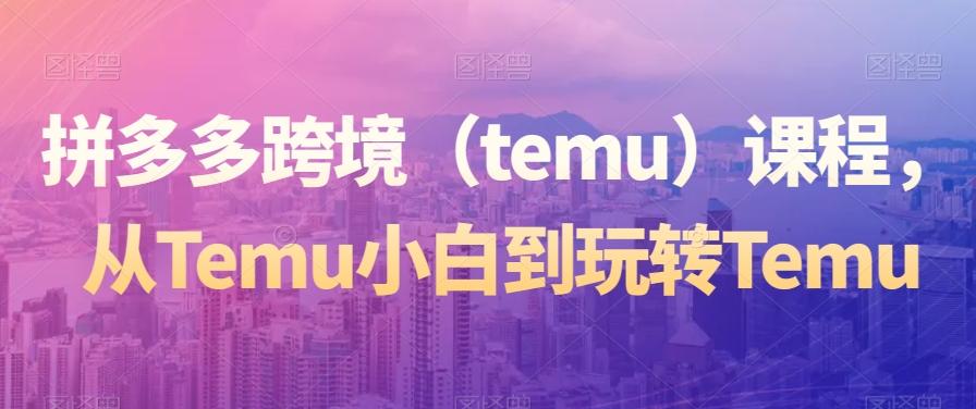 拼多多跨境（temu）课程，从Temu小白到玩转Temu-网创小站