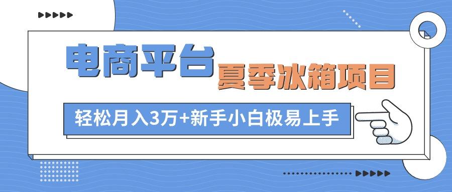 电商平台夏季冰箱项目，轻松月入3万+，新手小白极易上手-网创小站