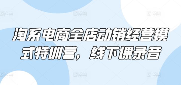 淘系电商全店动销经营模式特训营，线下课录音-网创小站