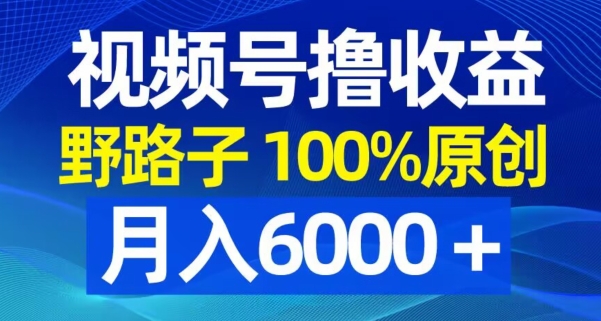 视频号野路子撸收益，100%原创，条条爆款，月入6000＋【揭秘】-网创小站