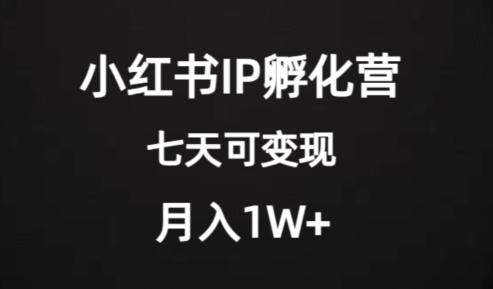 价值2000+的小红书IP孵化营项目，超级大蓝海，七天即可开始变现，稳定月入1W+-网创小站
