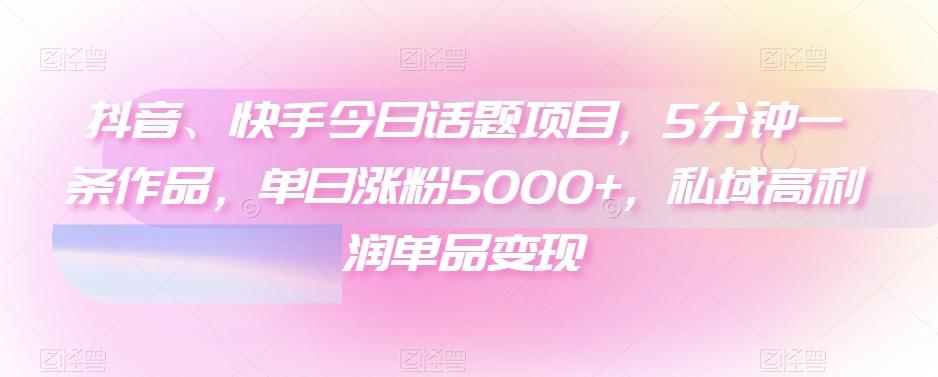 抖音、快手今日话题项目，5分钟一条作品，单日涨粉5000+，私域高利润单品变现-网创小站