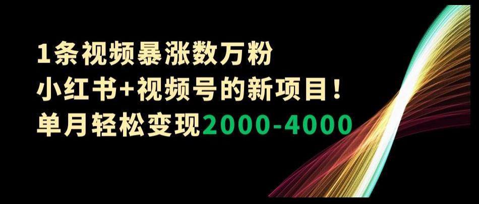 1条视频暴涨数万粉–小红书+视频号的新项目！单月轻松变现2000-4000【揭秘】-网创小站