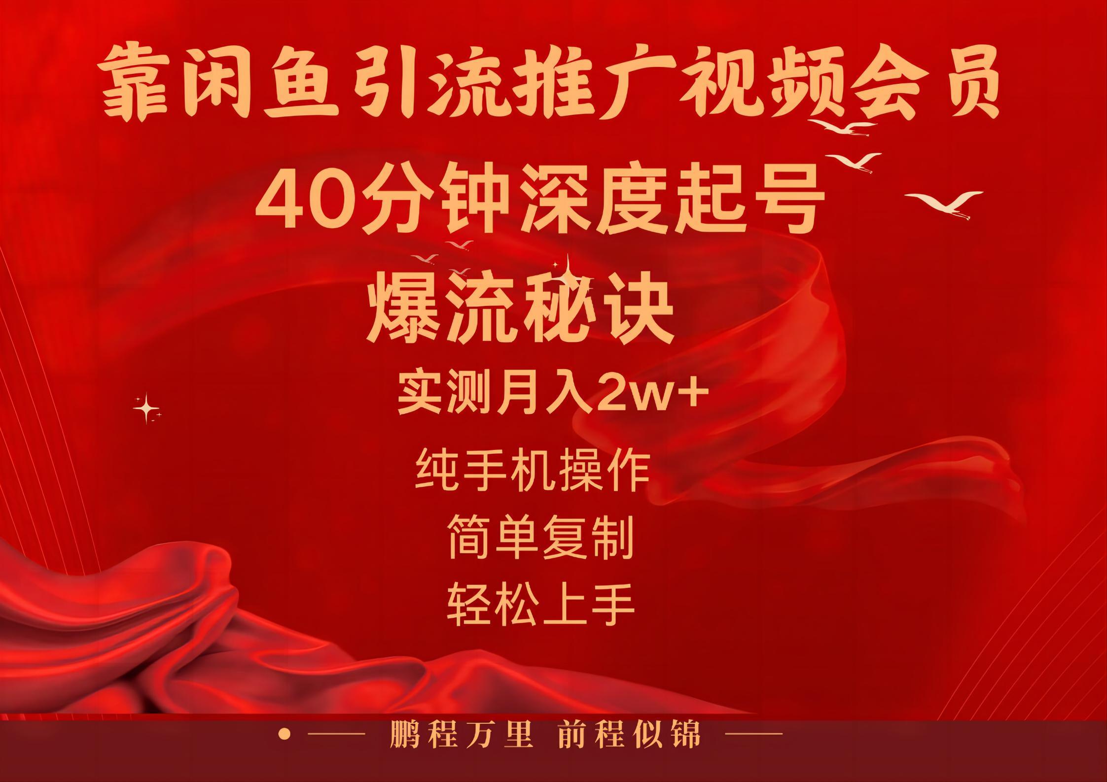 闲鱼暴力引流推广视频会员，能做到日入2W+，操作简单-网创小站