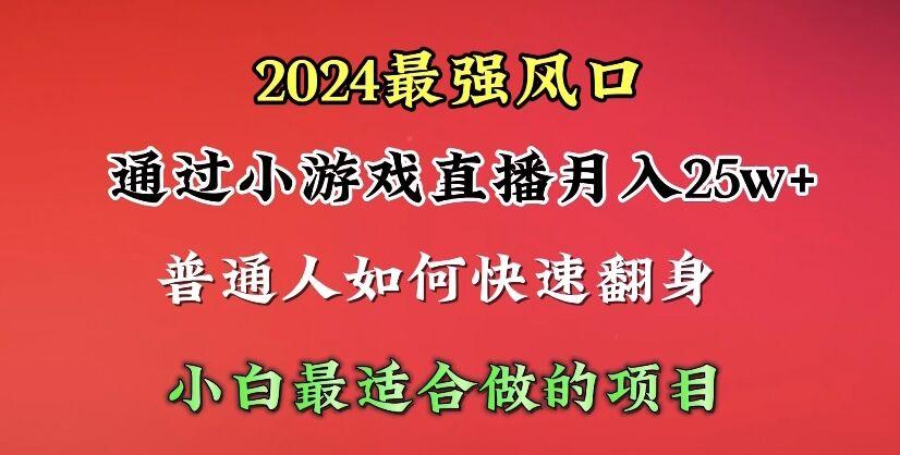 (10020期)2024年最强风口，通过小游戏直播月入25w+单日收益5000+小白最适合做的项目-网创小站