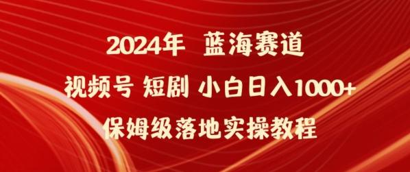 2024年视频号短剧新玩法小白日入1000+保姆级落地实操教程【揭秘】-网创小站