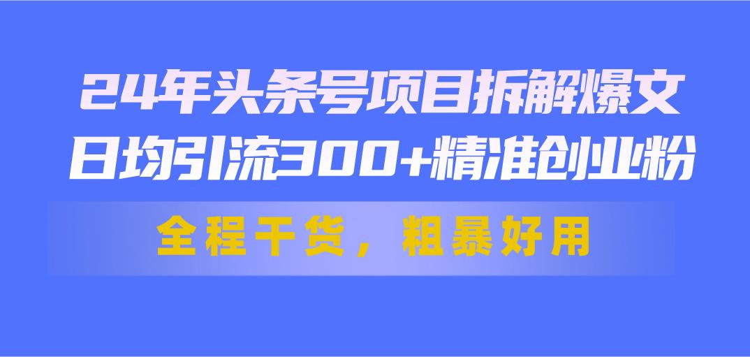 24年头条号项目拆解爆文，日均引流300+精准创业粉，全程干货，粗暴好用-网创小站