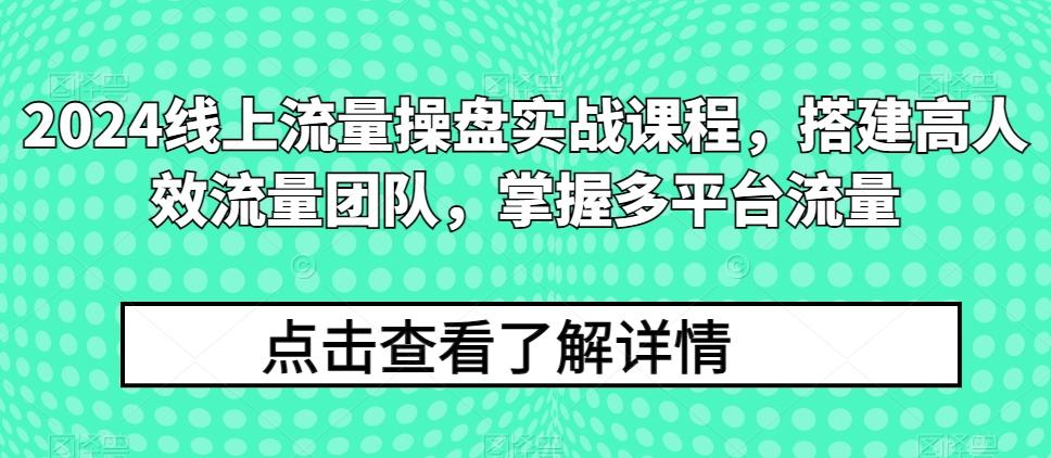 2024线上流量操盘实战课程，搭建高人效流量团队，掌握多平台流量-网创小站