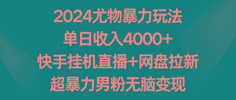 2024尤物暴力玩法 单日收入4000+快手挂机直播+网盘拉新 超暴力男粉无脑变现-网创小站