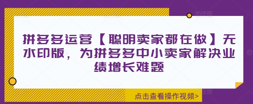 拼多多运营【聪明卖家都在做】无水印版，为拼多多中小卖家解决业绩增长难题-网创小站