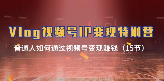 Vlog 视频号IP变现特训营，普通人如何通过视频号变现赚钱(15节-网创小站