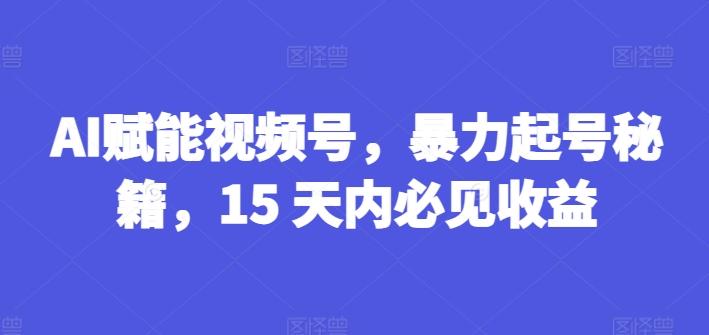AI赋能视频号，暴力起号秘籍，15 天内必见收益【揭秘】-网创小站