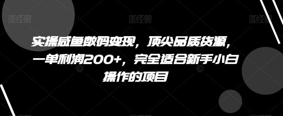 实操咸鱼数码变现，顶尖品质货源，一单利润200+，完全适合新手小白操作的项目【揭秘】-网创小站