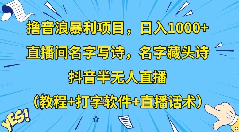 撸音浪暴利项目，日入1000+，直播间名字写诗，名字藏头诗，抖音半无人直播（教程+打字软件+直播话术）【揭秘】-网创小站