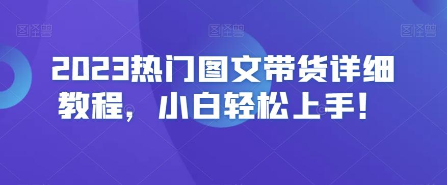 2023热门图文带货详细教程，小白轻松上手！-网创小站