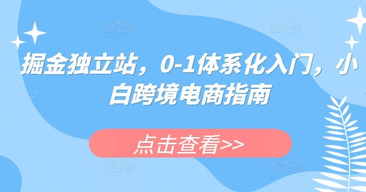 掘金独立站，0-1体系化入门，小白跨境电商指南-网创小站
