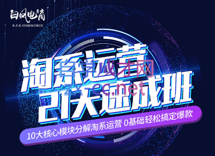 淘系运营21天速成班(更新24年5月)-网创小站