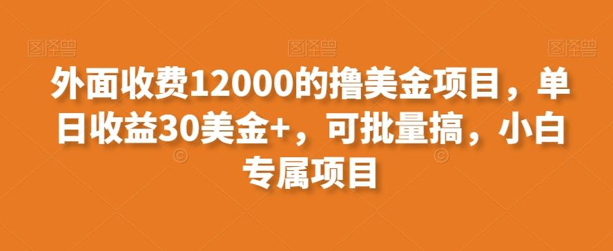 外面收费12000的撸美金项目，单日收益30美金+，可批量搞，小白专属项目-网创小站