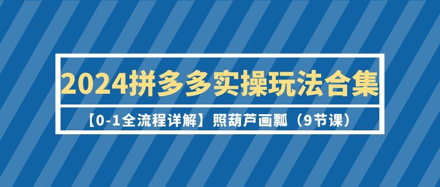 (9559期)2024拼多多实操玩法合集【0-1全流程详解】照葫芦画瓢(9节课)-网创小站