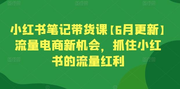 小红书笔记带货课【6月更新】流量电商新机会，抓住小红书的流量红利-网创小站