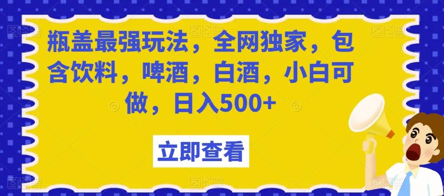 瓶盖最强玩法，全网独家，包含饮料，啤酒，白酒，小白可做，日入500+【揭秘】-网创小站