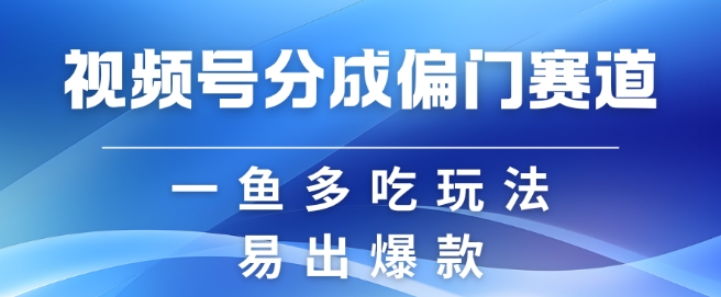 视频号创作者分成计划偏门类目，容易爆流，实拍内容简单易做【揭秘】-网创小站