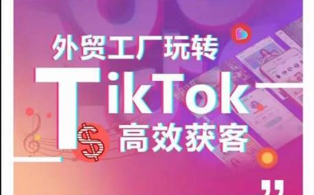 外贸工厂玩转TikTok高效获客，多种引流方式与账号定位技巧，拆解爆款短视频打造成功案例-网创小站