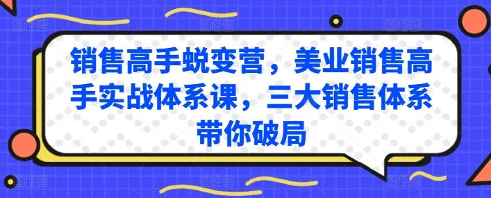 销售高手蜕变营，美业销售高手实战体系课，三大销售体系带你破局-网创小站