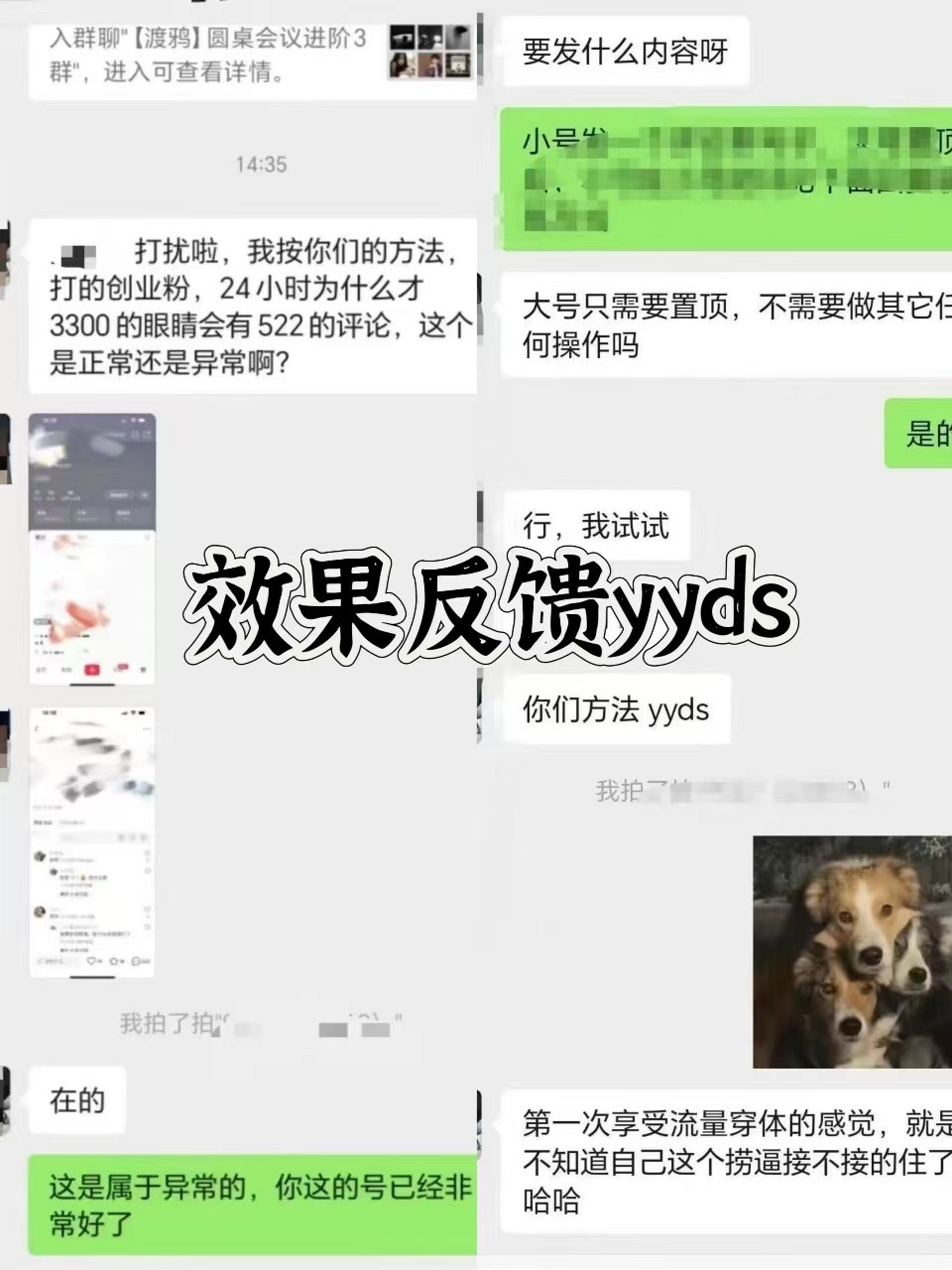 图片[3]-抖音小红书视频号全平台引流打法，全自动引流日引2000+精准客户-网创小站
