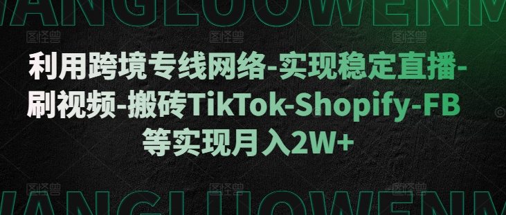 利用跨境专线网络-实现稳定直播-刷视频-搬砖TikTok-Shopify-FB等实现月入2W+【揭秘】-网创小站