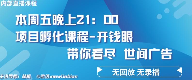 4.26日内部回放课程《项目孵化-开钱眼》赚钱的底层逻辑【揭秘】-网创小站