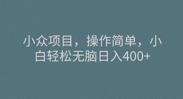 小众项目，操作简单，小白轻松无脑日入400+-网创小站