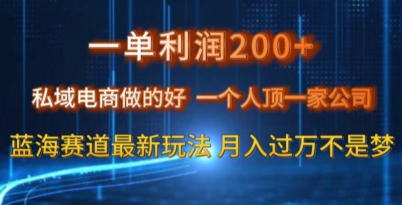 一单利润200私域电商做的好，一个人顶一家公司蓝海赛道最新玩法【揭秘】-网创小站