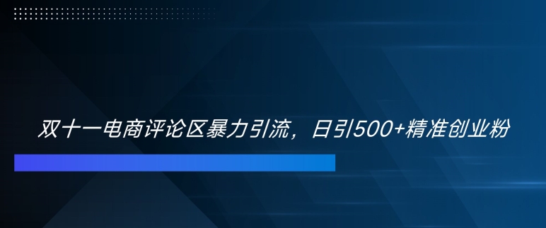 双十一电商评论区暴力引流，日引500+精准创业粉【揭秘】-网创小站