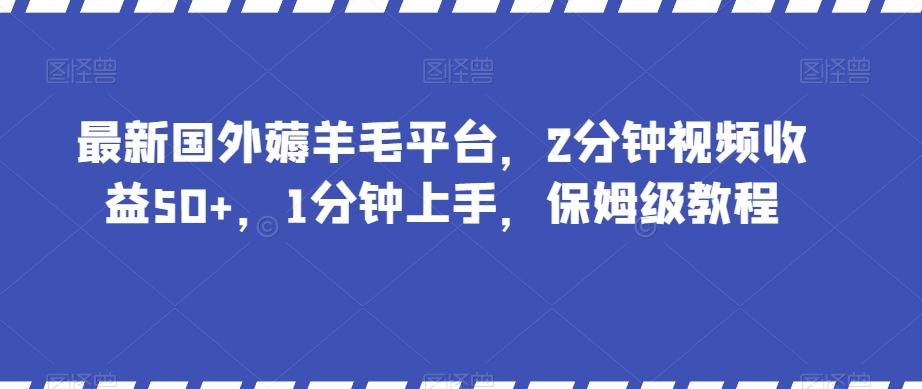最新国外薅羊毛平台，2分钟视频收益50+，1分钟上手，保姆级教程【揭秘】-网创小站