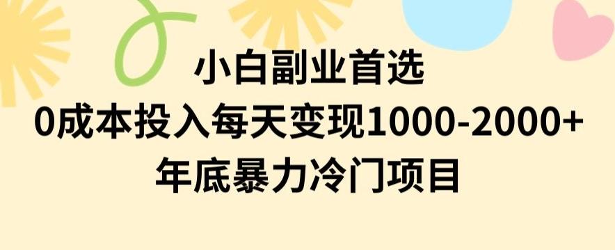 小白副业首选，0成本投入，每天变现1000-2000年底暴力冷门项目【揭秘】-网创小站