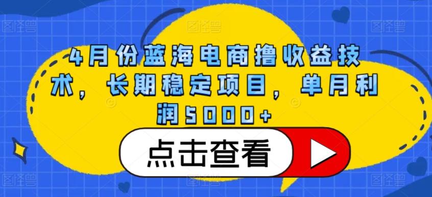 4月份蓝海电商撸收益技术，长期稳定项目，单月利润5000+【揭秘】-网创小站